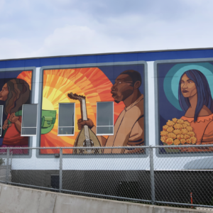 Mural realizado en Minneapolis, junto a Dani Bianchini, en 2025.